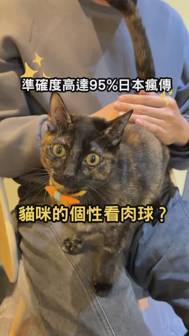 全家新品 | 全家貓之日換貓做老大