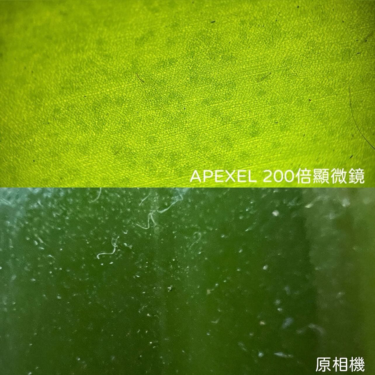遇見未來|APEXEL 200倍顯微鏡 4